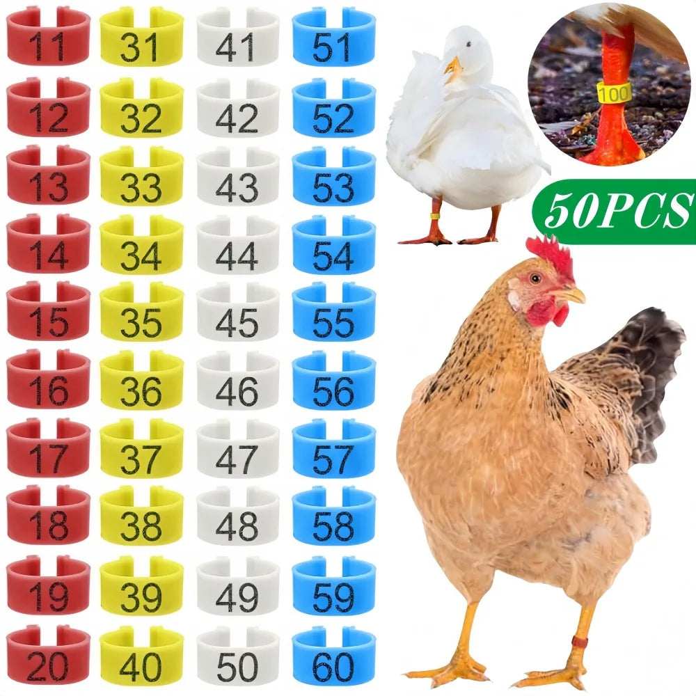 Mehrfarbige nummerierte Hühnerfußringe 1,6 cm 10 bis 50 Stück
