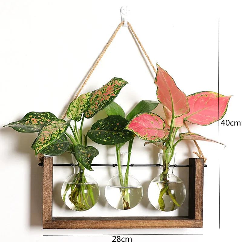 Modernes Hydrokultur-Pflanzengefäß mit Glasvase und Holzständer
