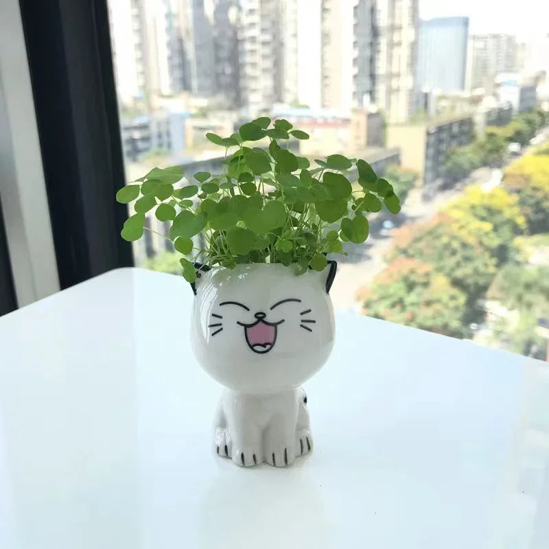 Niedlicher Keramik Mini Blumentopf Katze Cartoon für Schreibtisch Dekoration