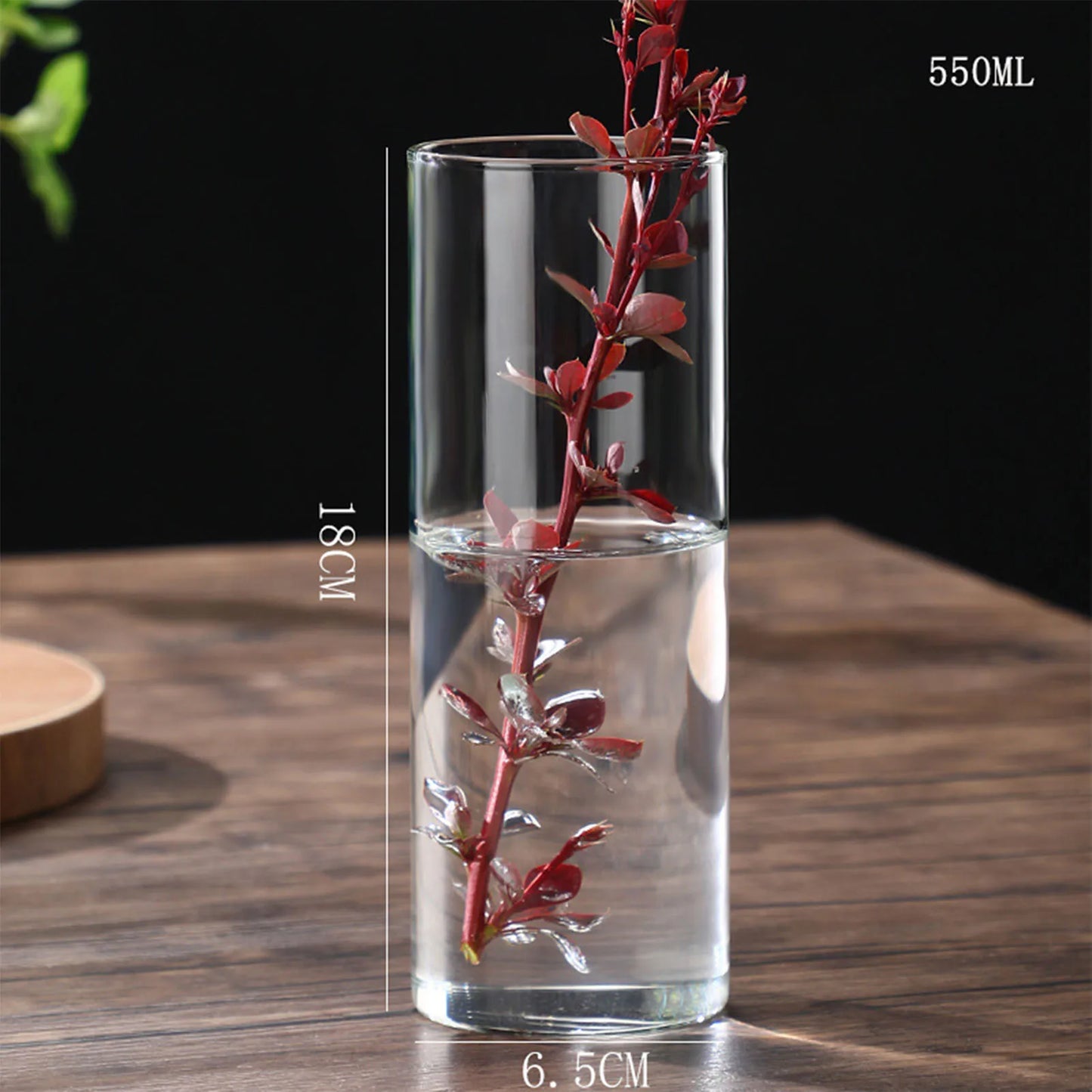 Transparente Glas-Hydrokulturvase Zylinderform für Blumen und Deko