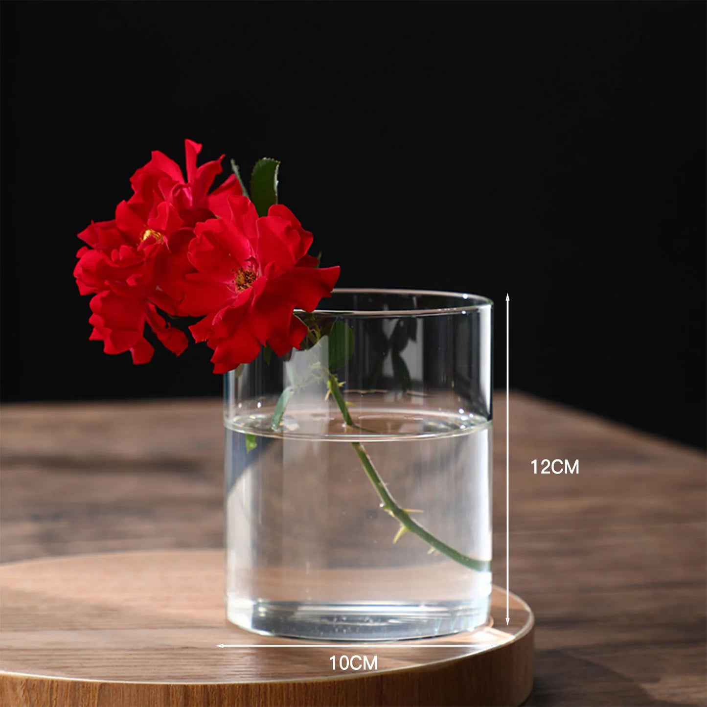 Transparente Glas-Hydrokulturvase Zylinderform für Blumen und Deko