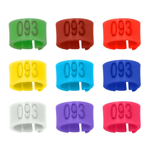100 bunte Kunststoff-Fußringe 8 mm für Vogel-Training und Identifikation
