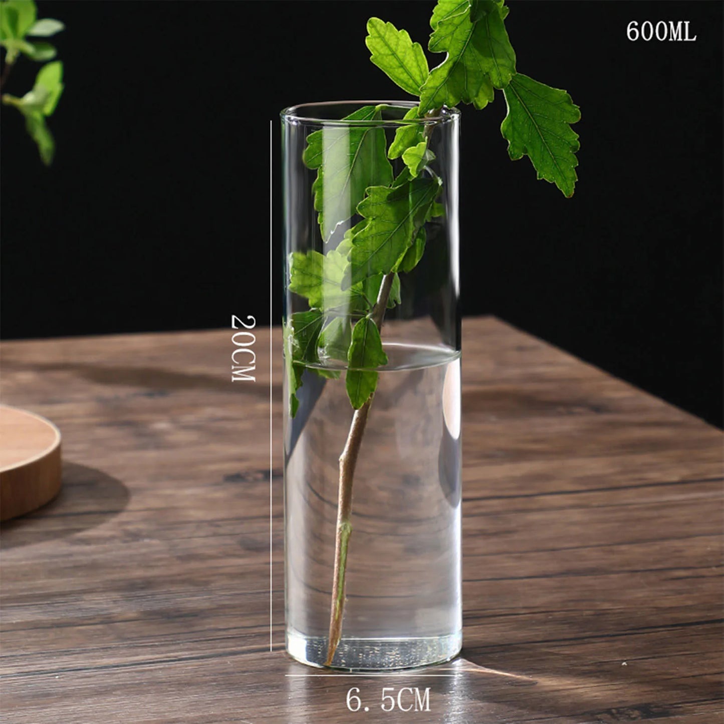 Transparente Glas-Hydrokulturvase Zylinderform für Blumen und Deko