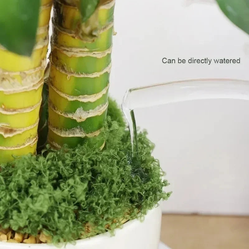 Künstliche Pflanzen für kreative Raumdekoration – Ewiges Leben Moos