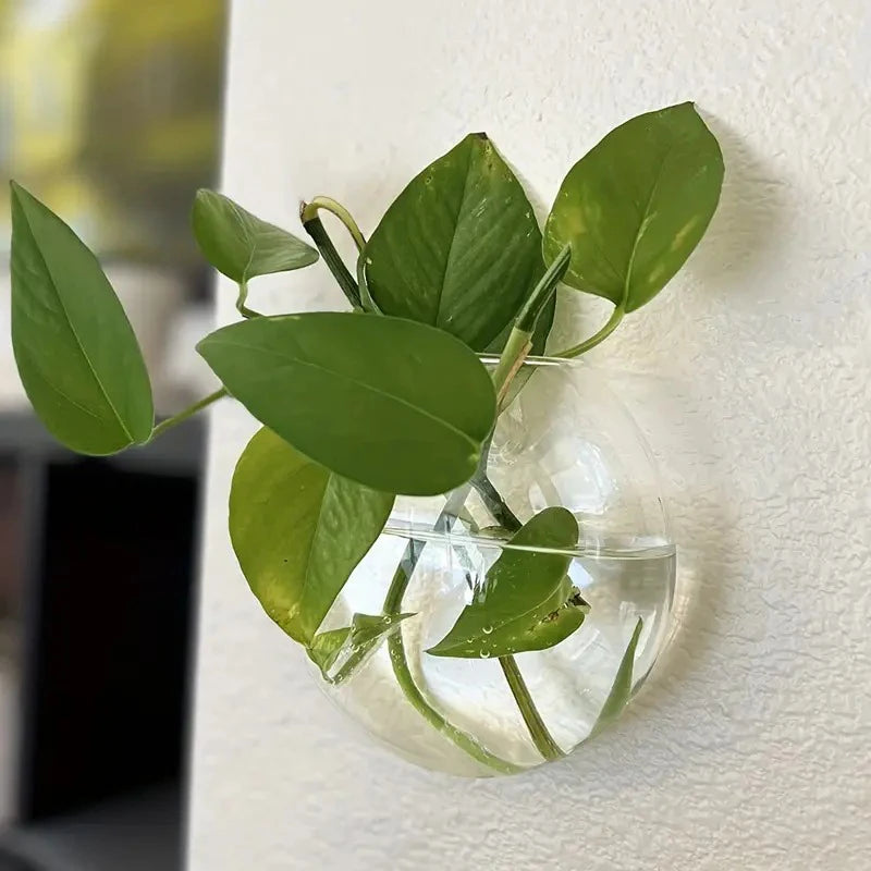 Wandmontierte Glas Vase für Pflanzen und Dekor im Home Office