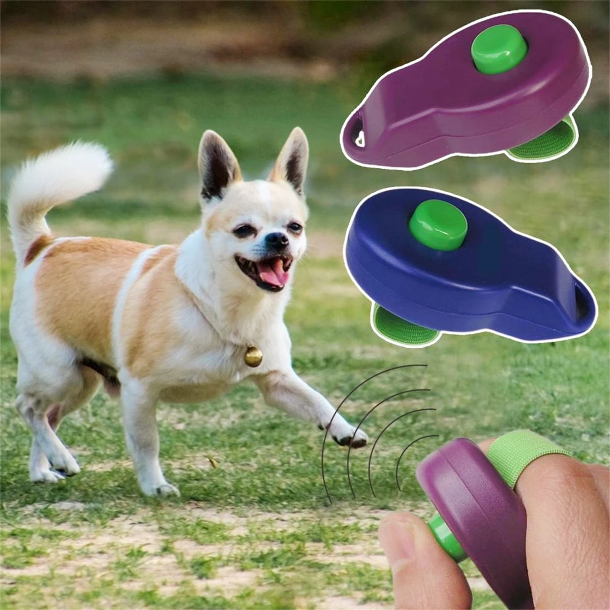 Pet Trainings Clicker mit elastischem Band für Hunde und Katzen