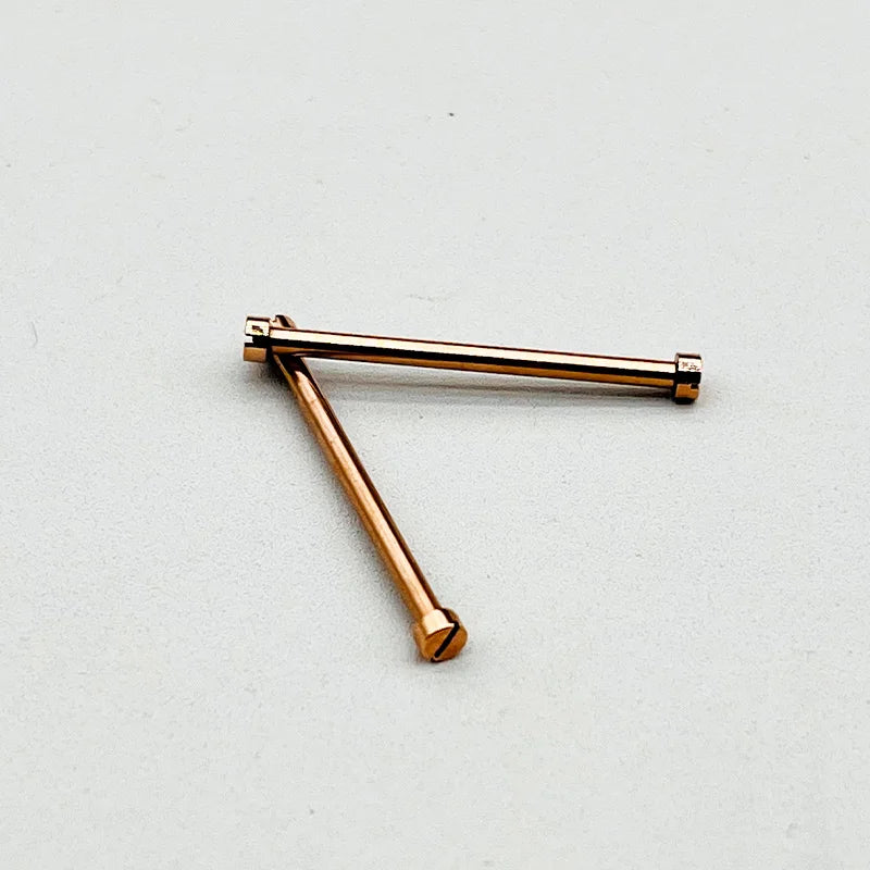 2er Set Edelstahl Schraubenstangen 22mm Uhrengehäuse Ohr Ersatzteile