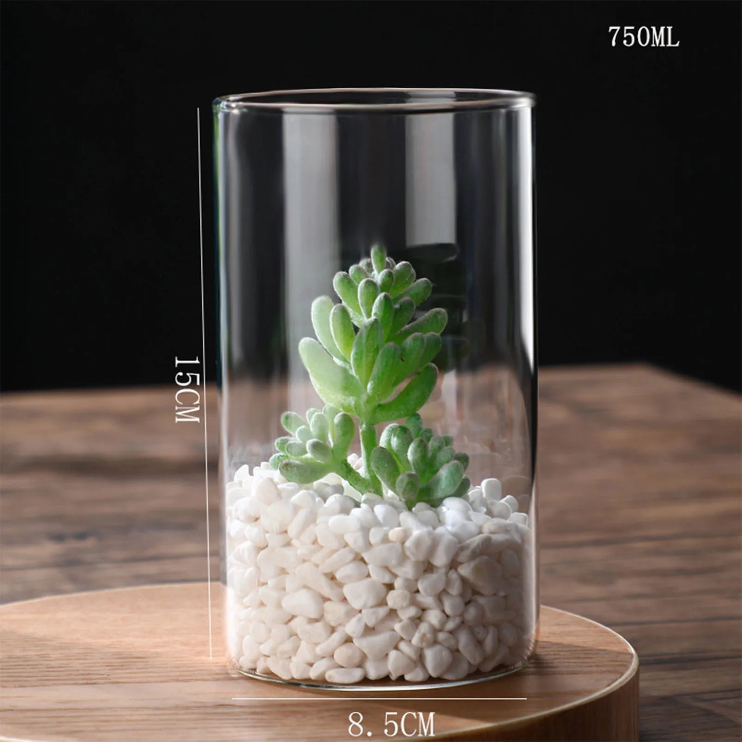 Transparente Glas-Hydrokulturvase Zylinderform für Blumen und Deko