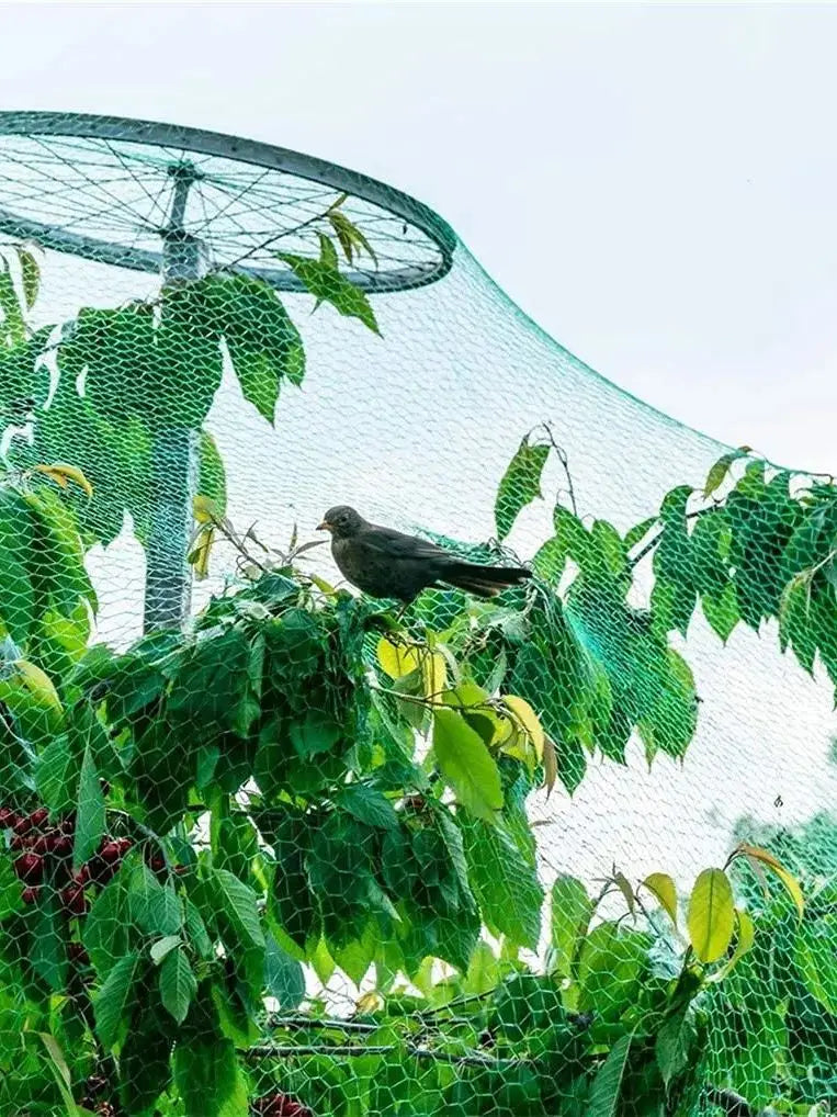 Effektiver Schutz: Wetterbeständiges Vogelnetz für Gemüse - Obstbäume, wiederverwendbar