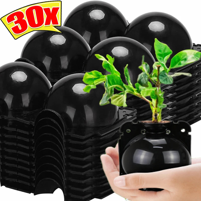 Pflanzen Bewurzelungsball für erfolgreiche Vermehrung im Garten