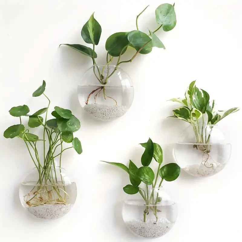 Wandmontierte Glas Vase für Pflanzen und Dekor im Home Office
