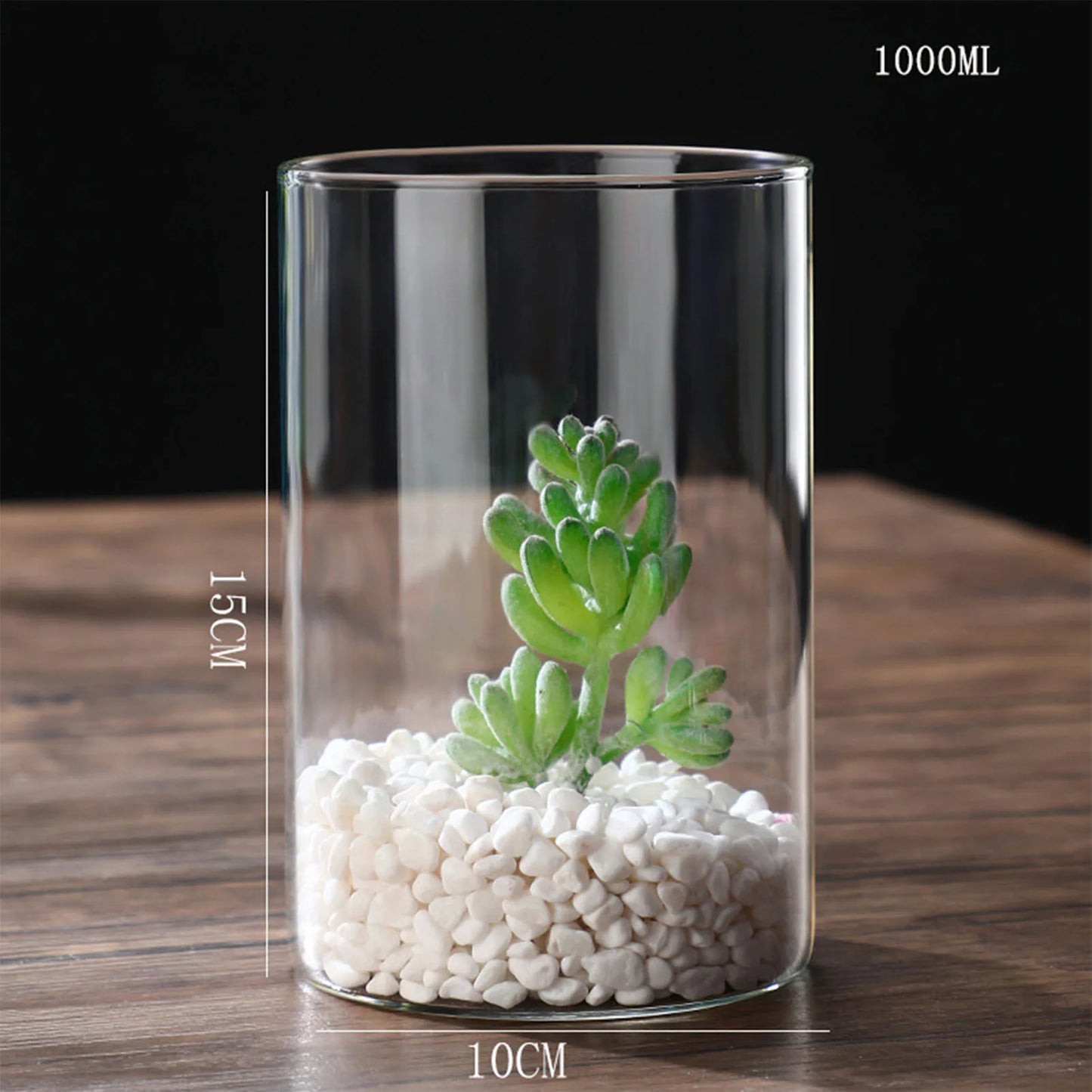 Transparente Glas-Hydrokulturvase Zylinderform für Blumen und Deko