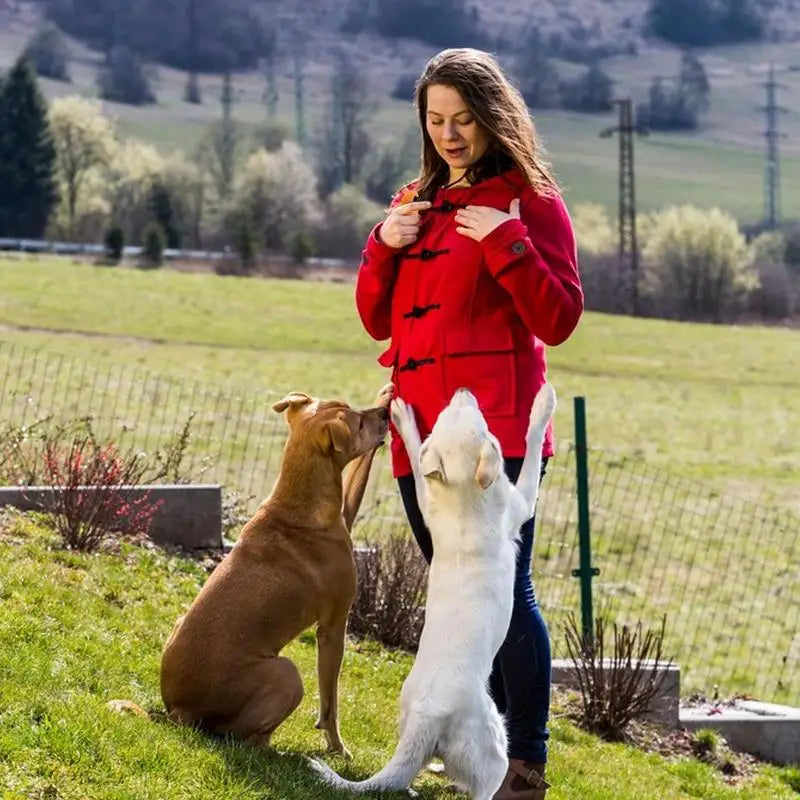 Hundetraining Clicker Kunststoff tragbar für Hunde und Katzen Training
