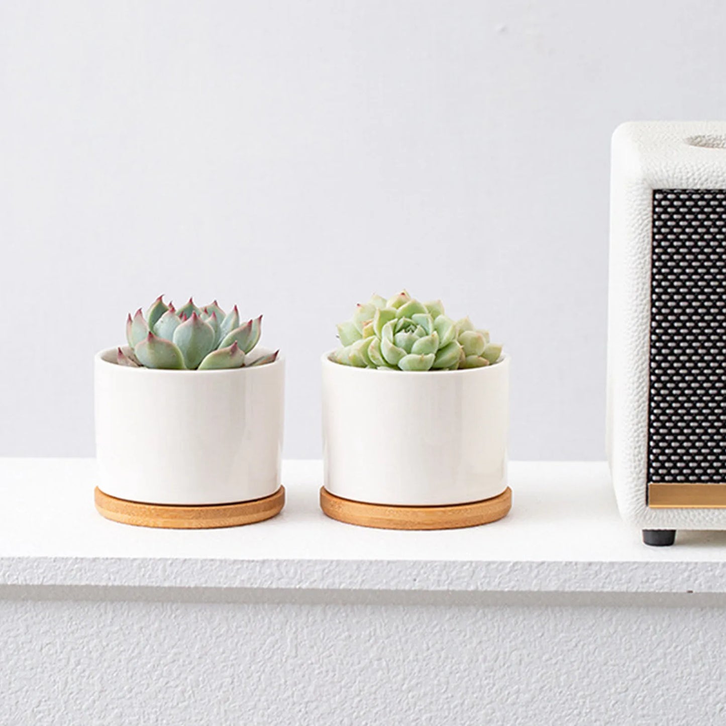 Eleganter Mini Blumentopf aus Kunststoff für Sukkulenten am Schreibtisch