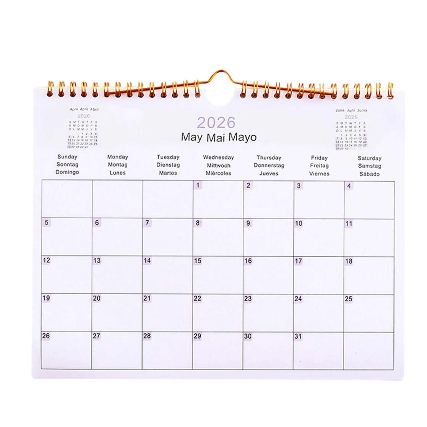 Kalender 2025 2026 Mehrsprachiger Spulenplaner für Büro und Schule