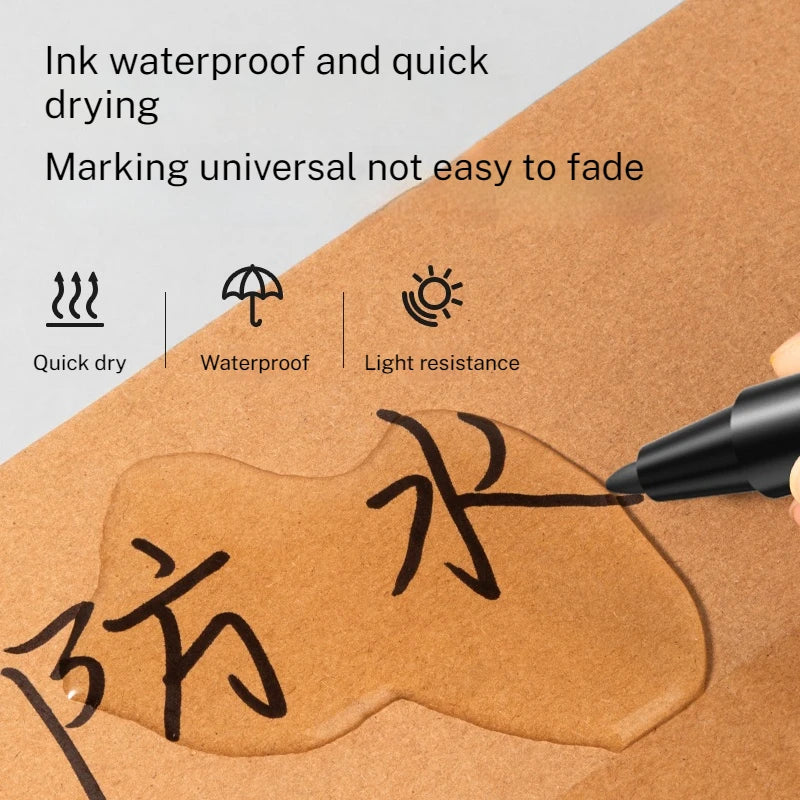 Doppelseitiges ölbasiertes Marker Set 12 Farben feine dicke Spitze