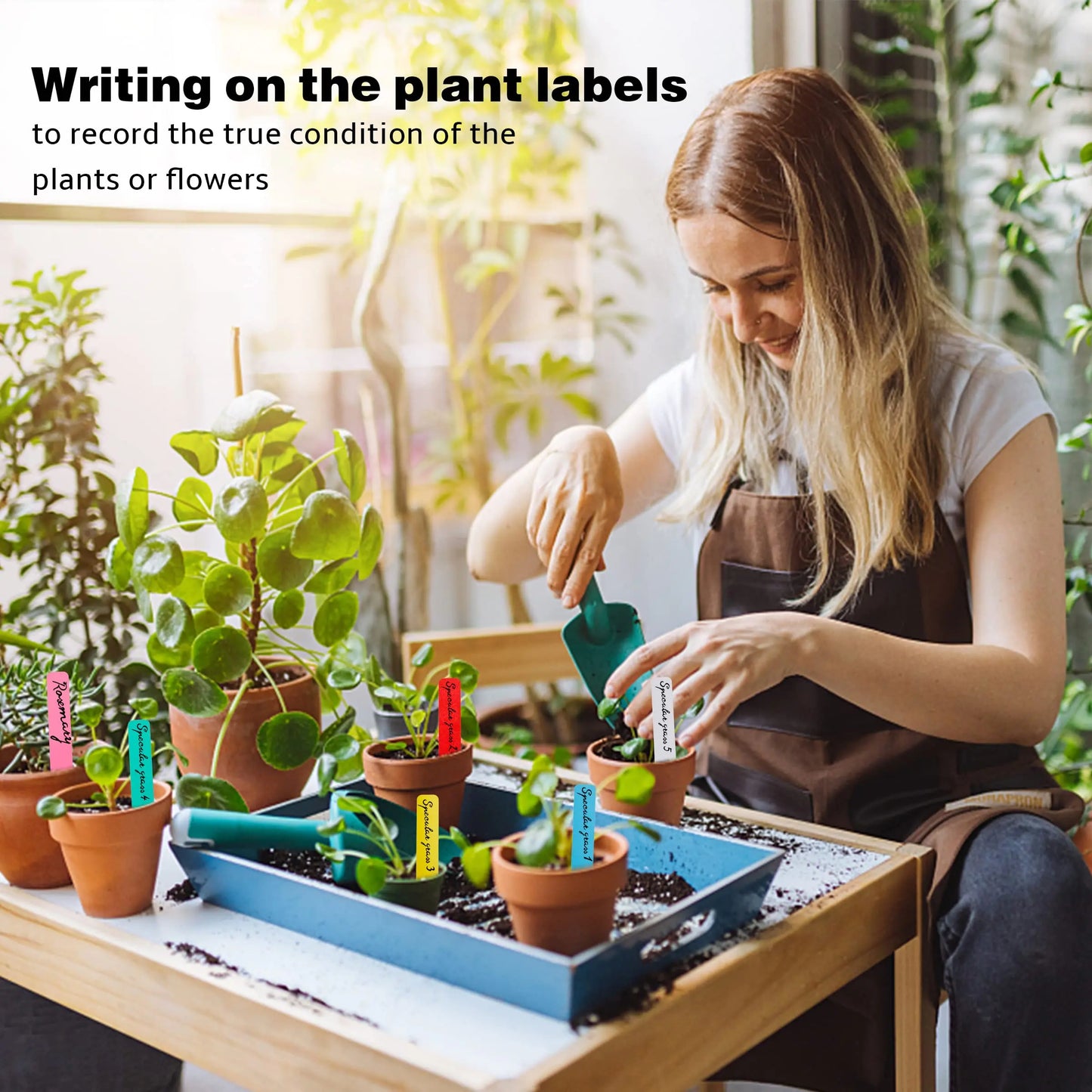 Wasserdichte Pflanzenstecker zur Beschriftung im Garten Set 100 St.