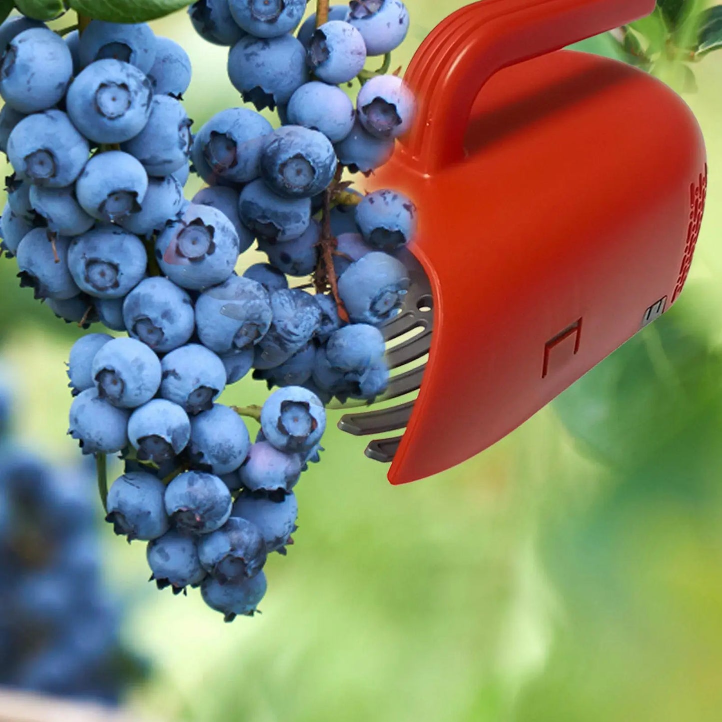 Ergonomischer Beerenpflücker mit Kunststoffgriff für Heidelbeerernte