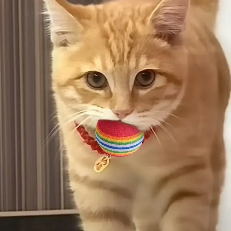 Interaktive Regenbogen EVA Spielbälle für Hund und Katze zum Training
