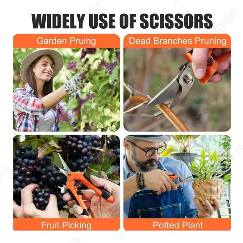 Praezisions Gartenschere fuer Blumen Kraeuter und kleine Zweige