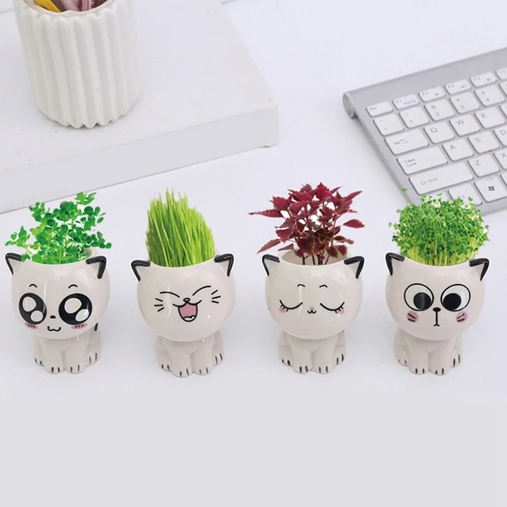 Niedlicher Keramik Mini Blumentopf Katze Cartoon für Schreibtisch Dekoration