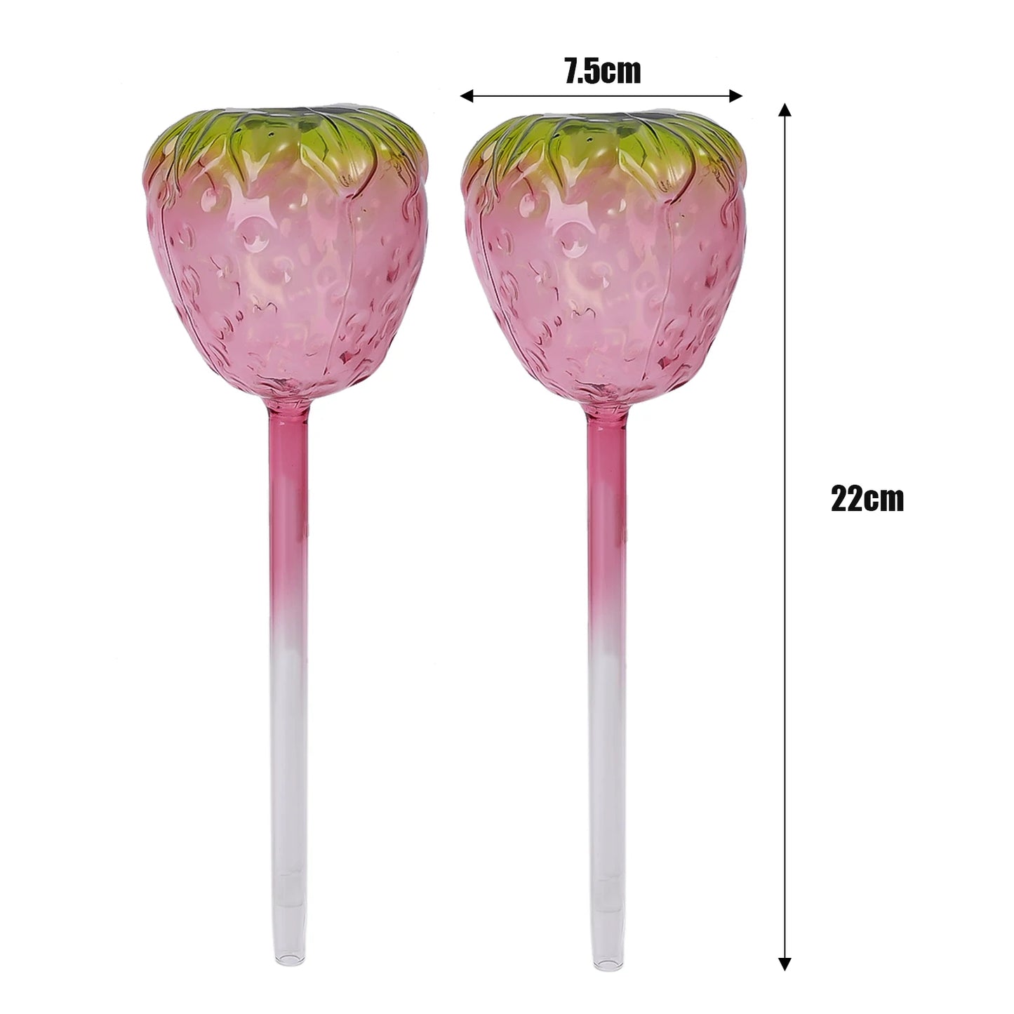 Nachhaltiges Tropfbewässerungssystem aus Glas – 180ml, 2 oder 4 Stück Set