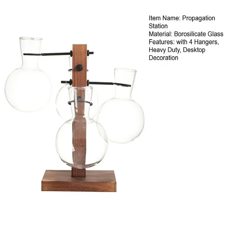 Moderne Hydrokultur Glasvase für Desktop Pflanzenvermehrung