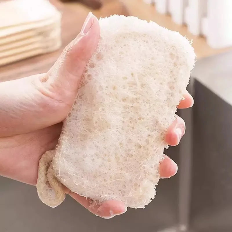 Natürlicher doppelschichtiger Loofah Schwamm für nachhaltige Küchenreinigung