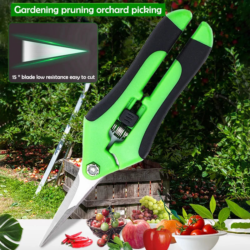 Präzisions Gartenschere für Blumen Bonsai Obstpflücken und Jäten Variantenwahl