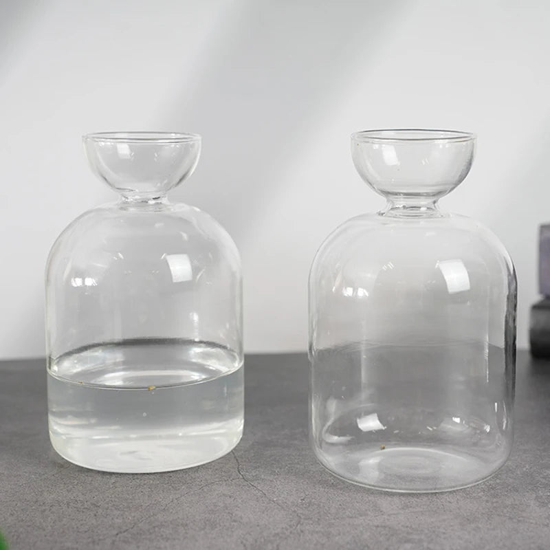 Dekorative Glas Anzuchtvase für Avocado Samen und Pflanzen