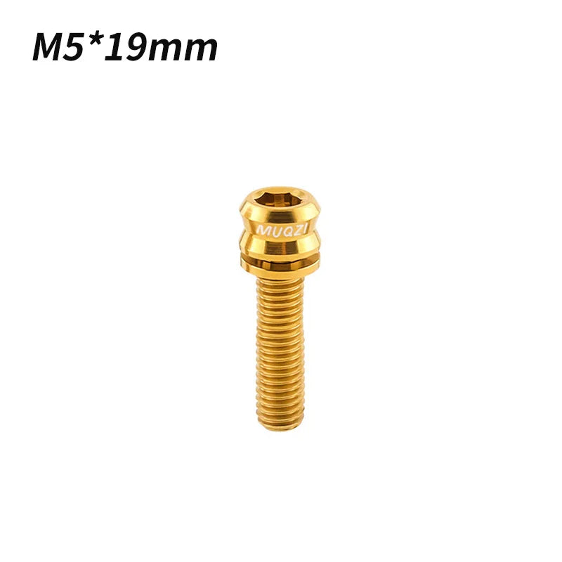 Titan Schrauben Fahrrad M5 M6 Verschiedene Längen für Headset Vorbau Bremse