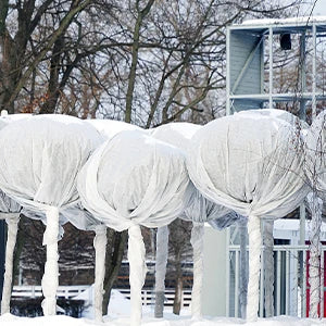 Gemüsenetz Vliesstoff für Frostschutz und Sonnenschutz im Garten