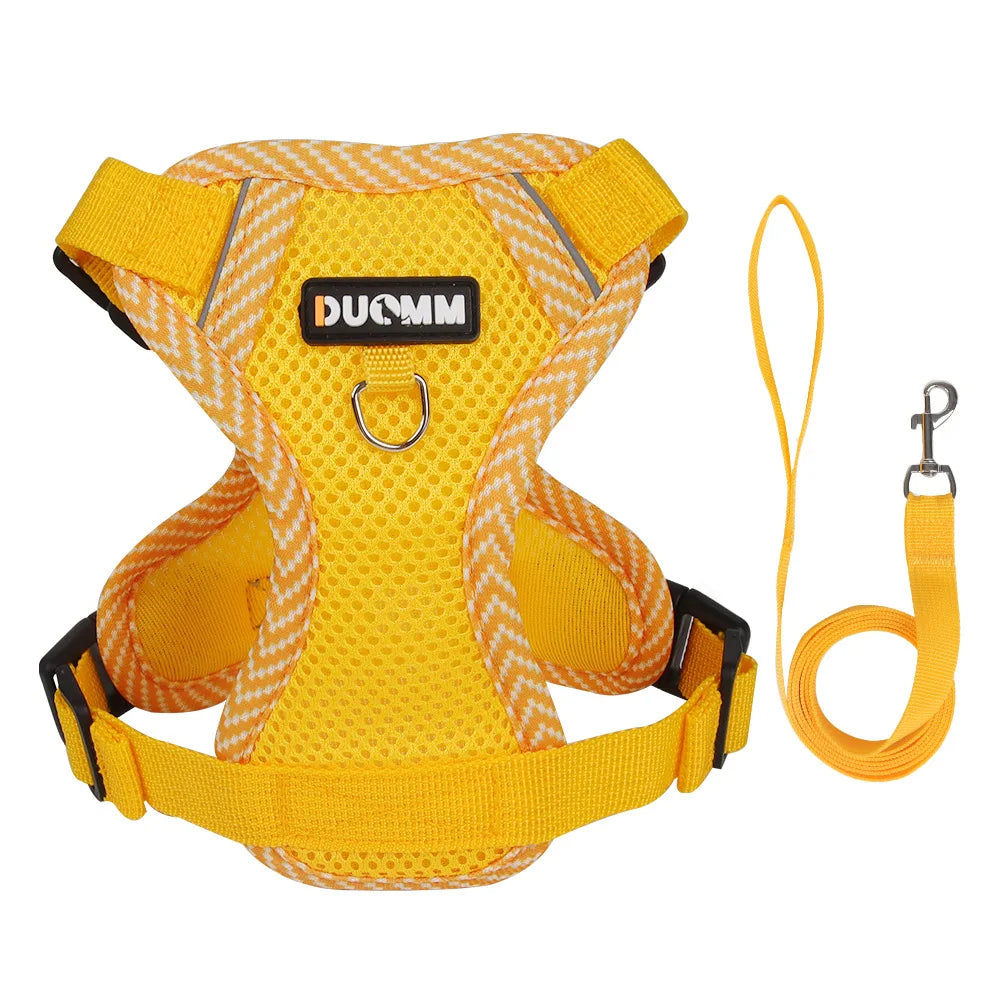 Atmungsaktives Reflektierendes Geschirr mit Leine für Katzen und kleine Hunde