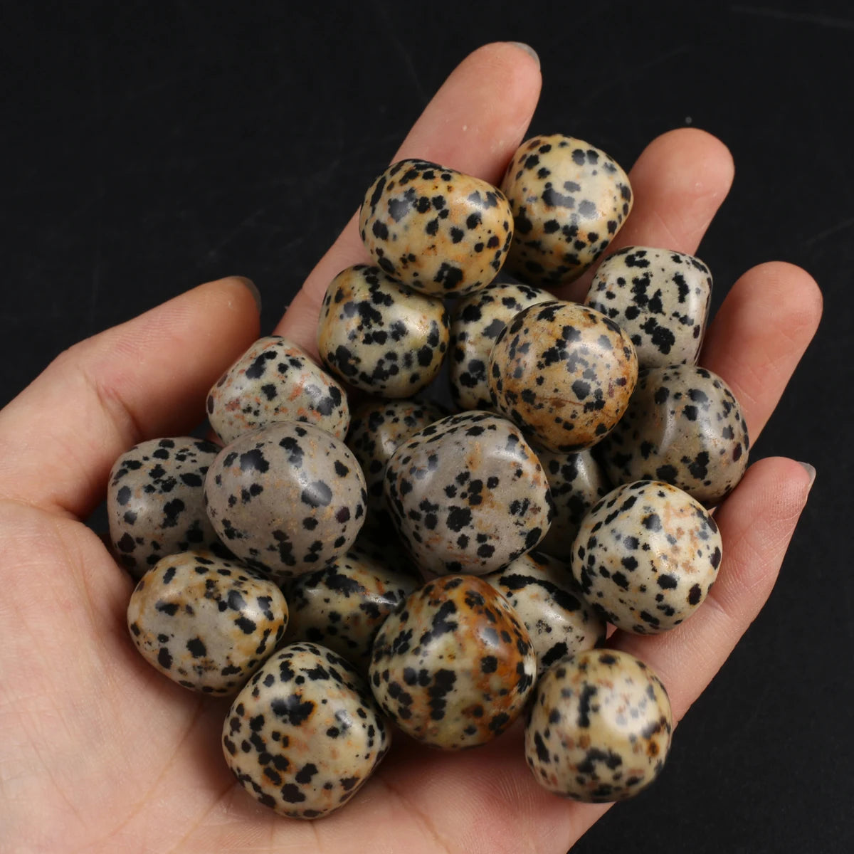 10er Set Polierte Natursteine für Heim und Aquarium