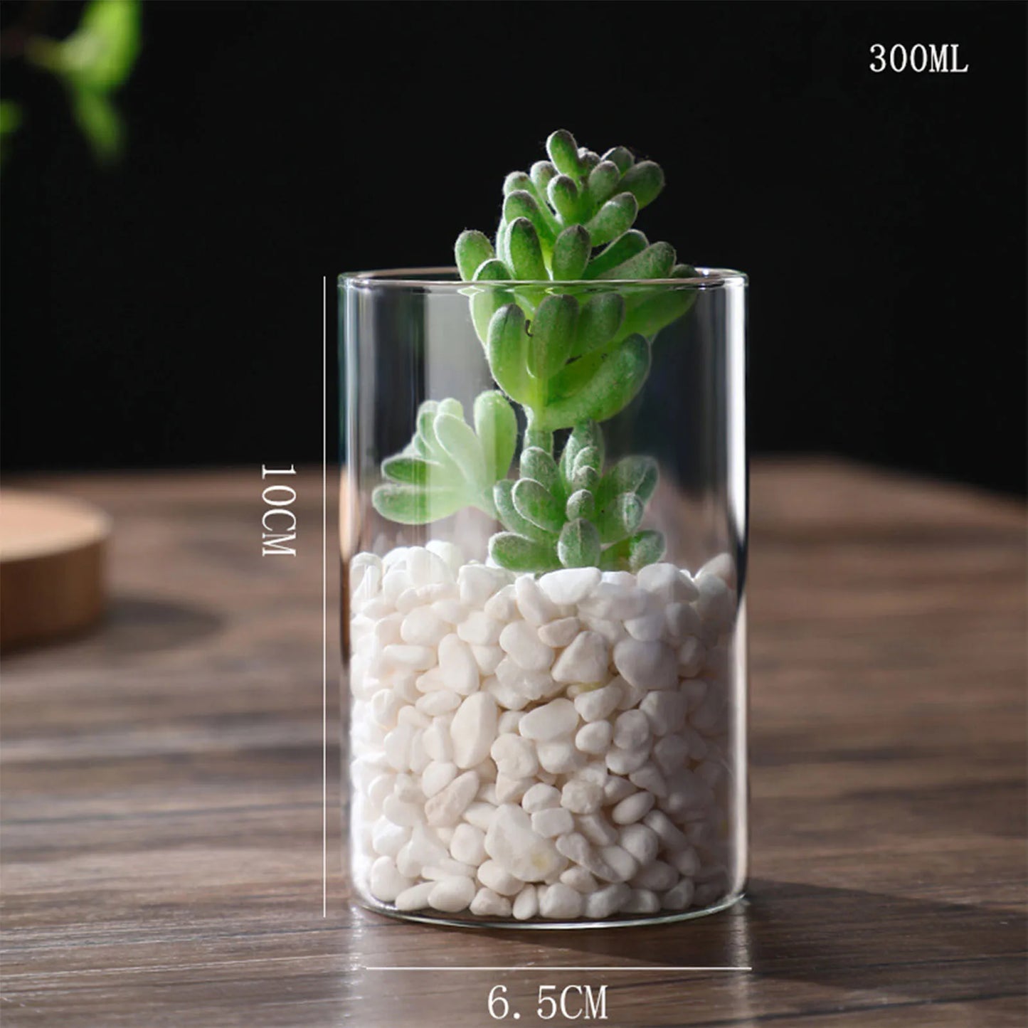 Transparente Glas-Hydrokulturvase Zylinderform für Blumen und Deko