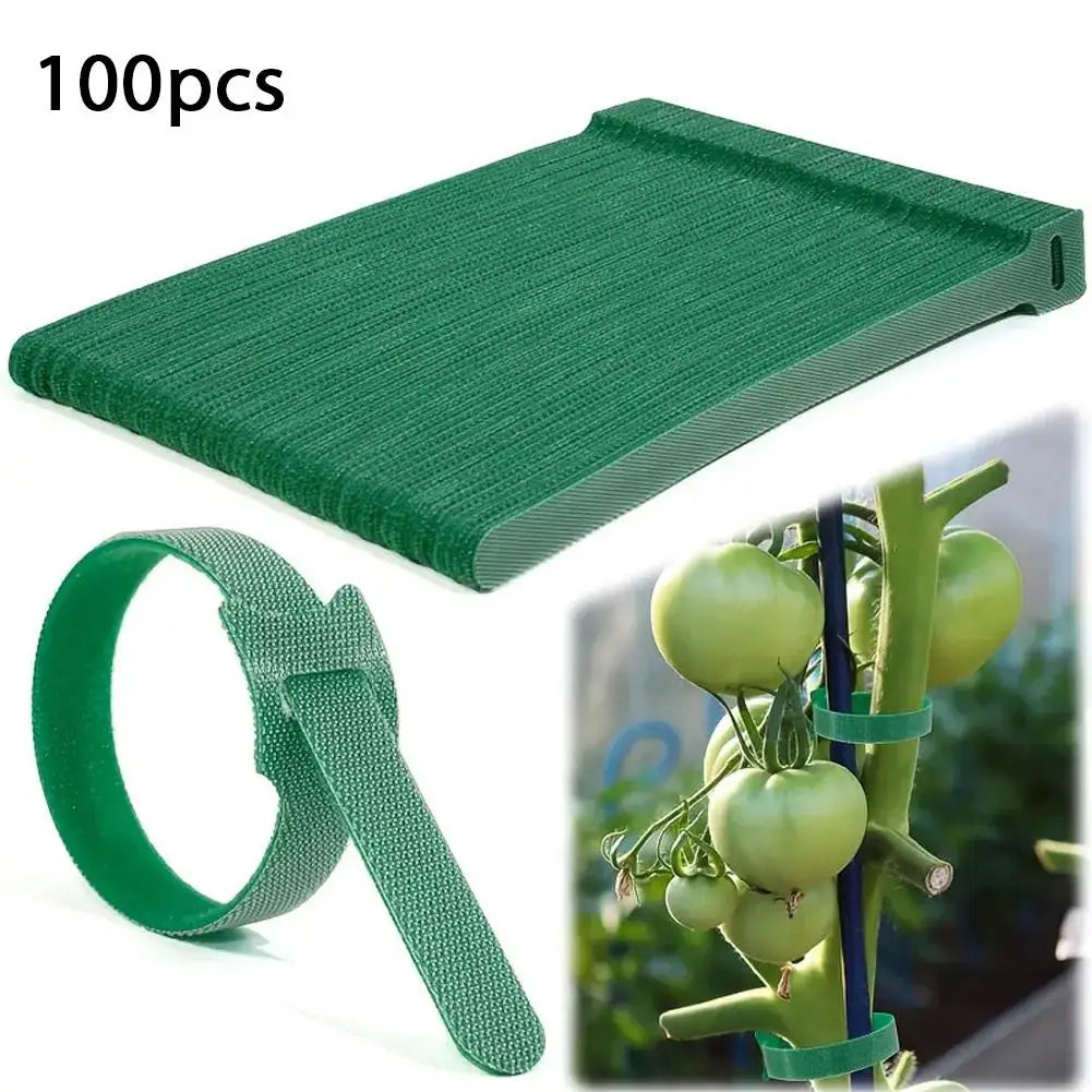 100 Stück Wiederverwendbare Verstellbare Rutschfeste Pflanzenbinder aus Nylon - Yabubest - Home & More