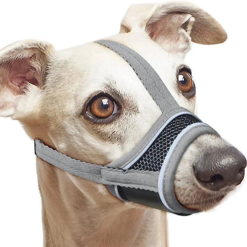 Sicher - Komfortabel: Verstellbare, reflektierende Hunde-Mundabdeckung aus Nylon