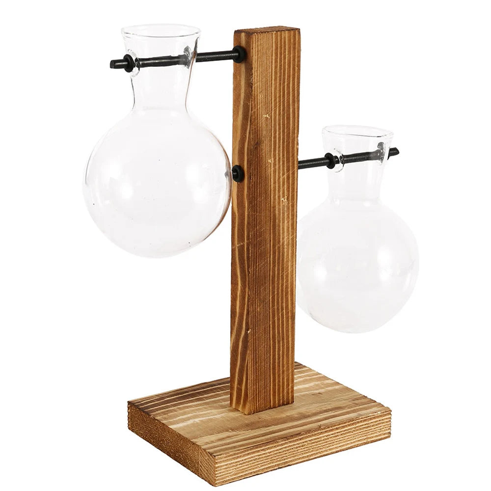 Modernes Hydrokultur Pflanzgefäß Holz Glas für Tischdekoration