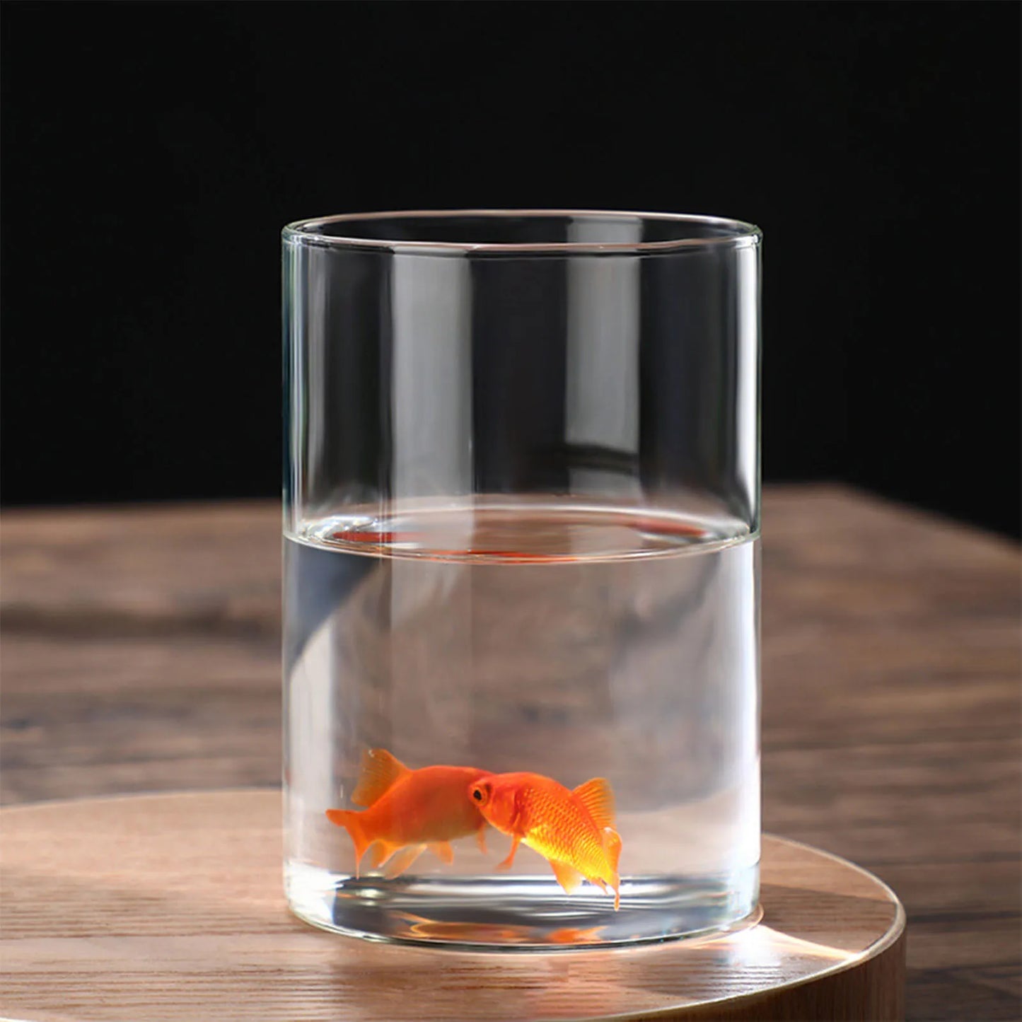 Transparente Glasvase Zylinder Hydroponik Blumenvase für Home Office