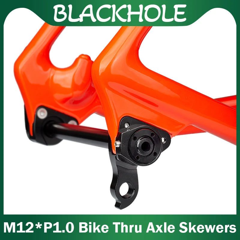 Fahrrad Steckachse M12 P1.0 für Gabel Rahmen MTB Rennrad – versch. Längen