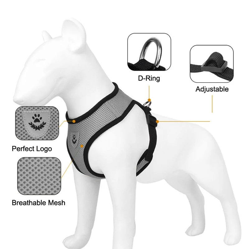 Verstellbares Reflektierendes Katzengeschirr mit Leine Set für Outdoor