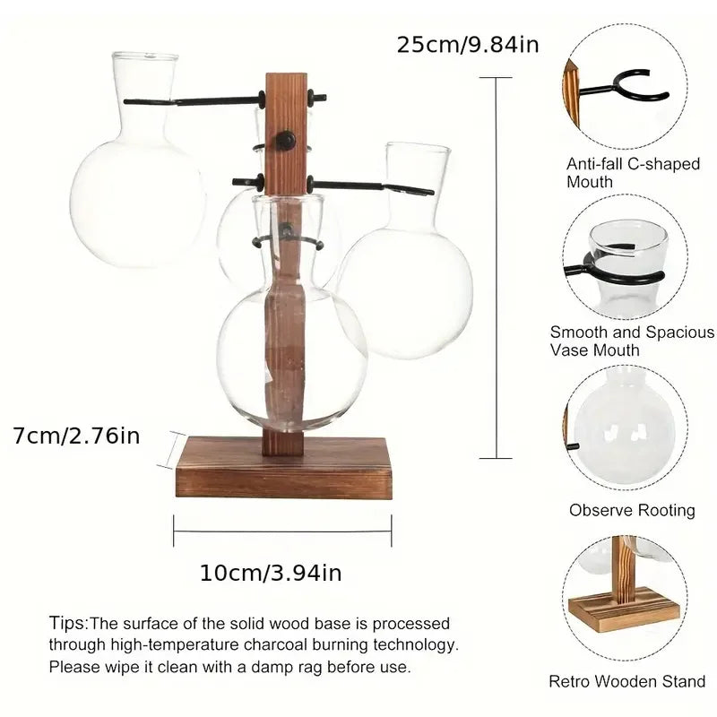 Moderne Hydrokultur Glasvase für Desktop Pflanzenvermehrung
