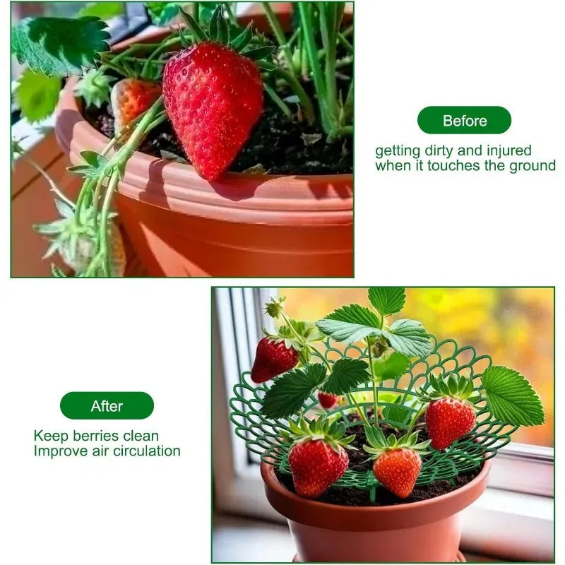 5er Set Erdbeerständer mit 3 stabilen Beinen Pflanzenstütze für Garten