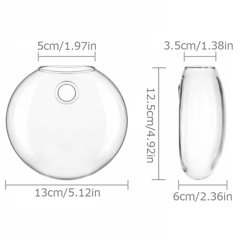 Wandmontierte Glas Vase für Pflanzen und Dekor im Home Office