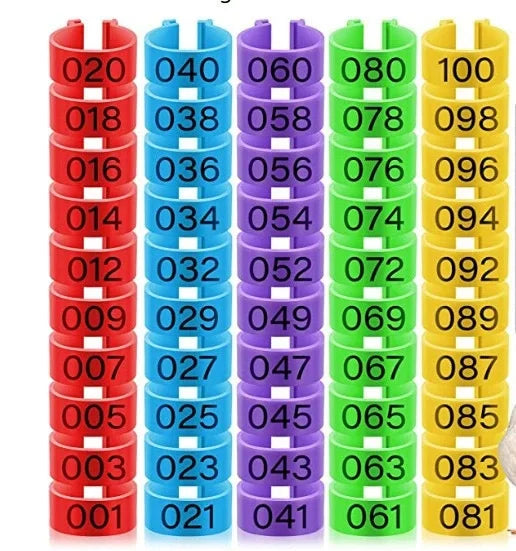 Mehrfarbige nummerierte Hühnerfußringe 1,6 cm 10 bis 50 Stück