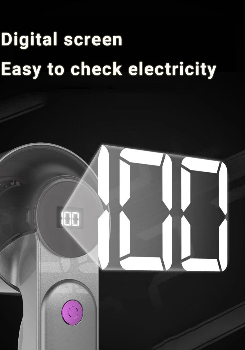 Elektrischer tragbarer Flusenentferner mit Akku und USB Ladung