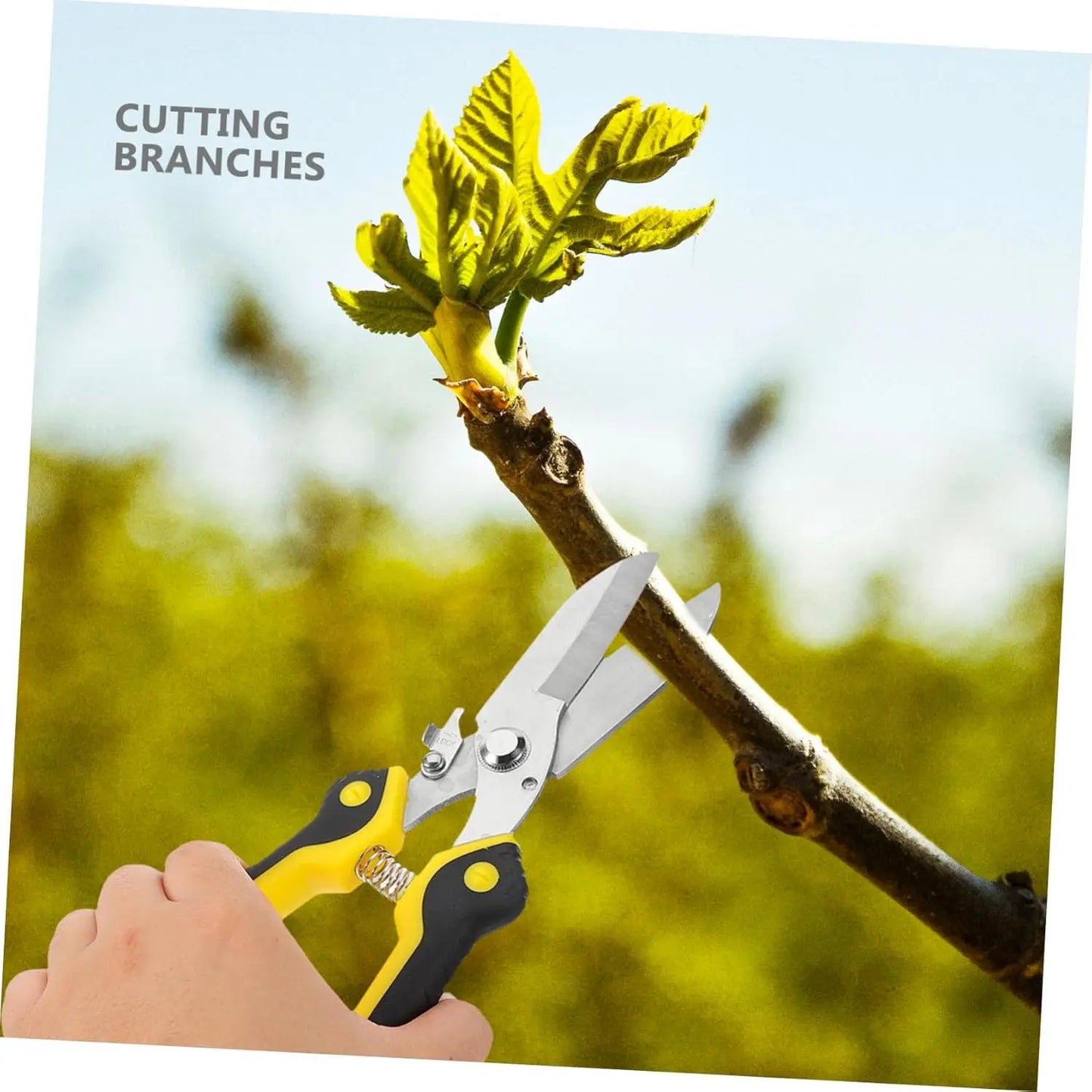 Multifunktionale Gartenschere aus Edelstahl mit rutschfestem Griff
