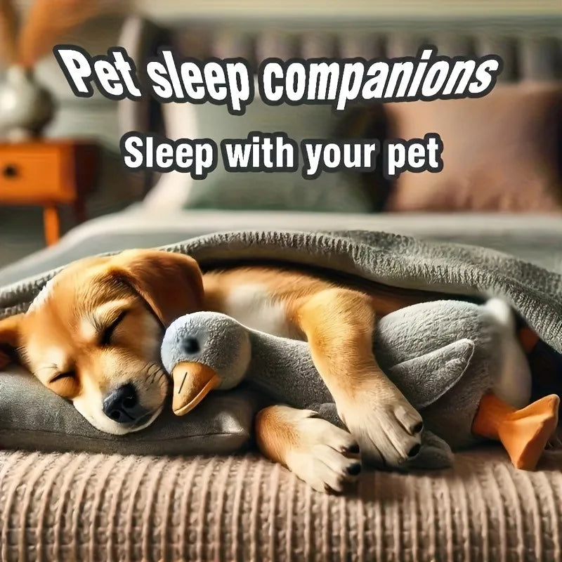 Buntes Enten-Plüschtier 50 cm für Entspannung und Spiel für Haustiere