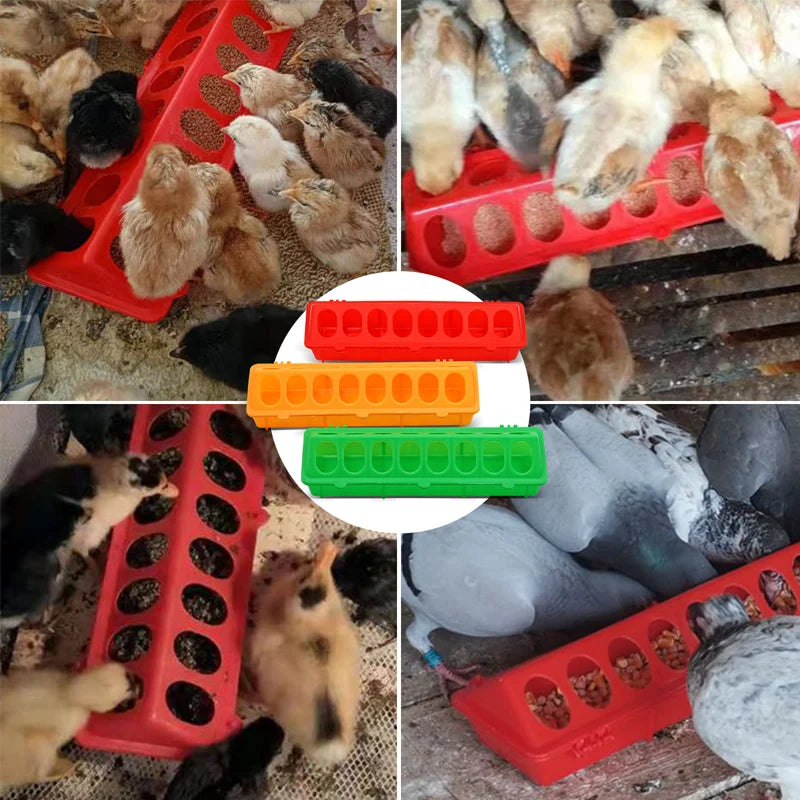 Kunststoff-Flip-Top-Futterspender für Geflügel vielseitig und praktisch
