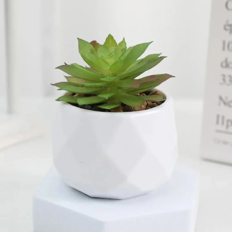 Mini Kunststoff Bonsai Sukkulente Desktop-Deko für Indoor Outdoor